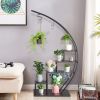 5 Layer Semicircle Shelves w/ Hooks