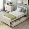 Wood Twin Platform Storage Bed Frame with Two Drawers