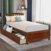 Wood Twin Platform Storage Bed Frame with Two Drawers