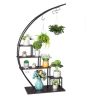 5-Layer Semi-Circle Shelves w/ Hooks